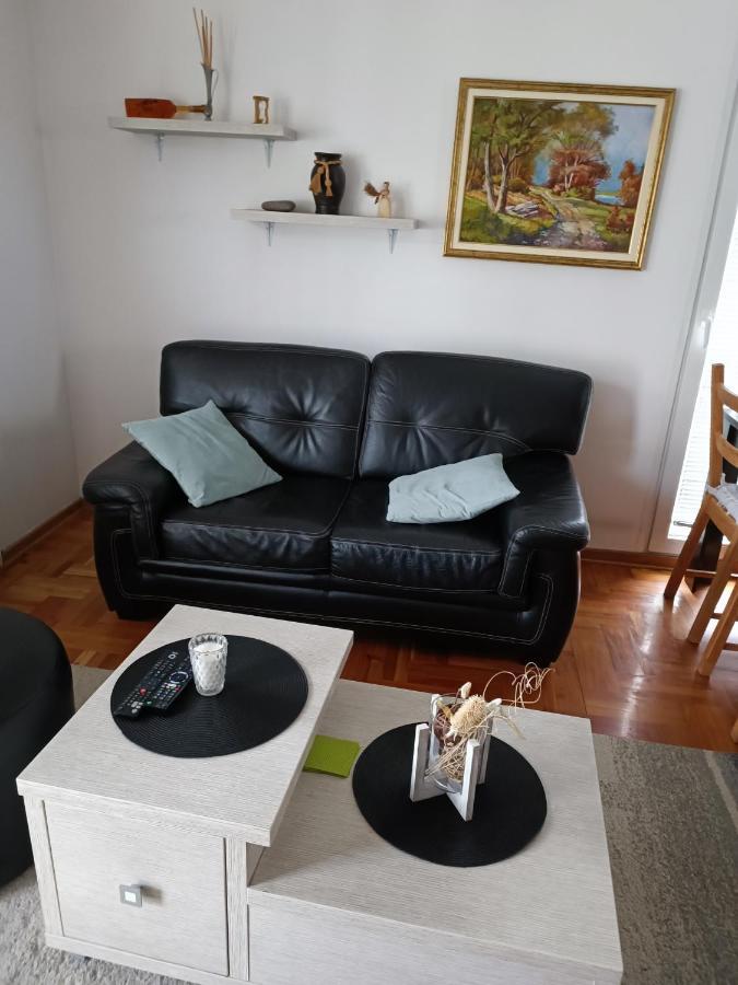 Serbian Home With Garden Krnjaca Extérieur photo